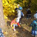 DSCF4722