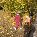 DSCF4727