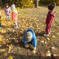 DSCF4732