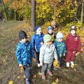 DSCF4733