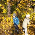 DSCF4743