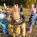 DSCF4747